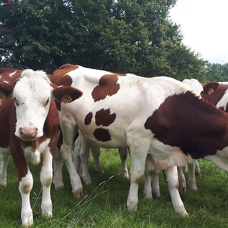 Gite A La Ferme, Avec Animaux, Fromages Et Nature Neuville-les-Decize Eksteriør billede
